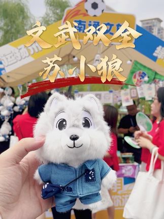 #也太可爱了吧 #苏超 南通终于出了一个像点样的文创产品了
