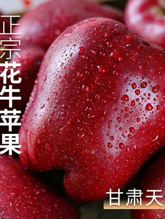 甘肃天水花牛苹果5斤新鲜水果整箱包邮应当季红蛇粉面丑当季平果#质量好#好产品分享