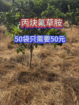 丙炔氟草胺#农业种植 #三农 #果园管理 #希望能帮到你 #现代农业