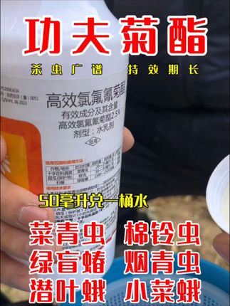 功夫菊酯 杀虫广谱 持效期长#创作灵感 #功夫菊酯 #高效氯氟氰菊酯 #病虫害防治 #关注我每天为你分享更多农业知识 @DOU+上热门