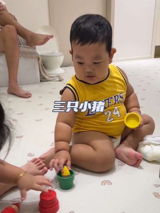 三只小猪日记