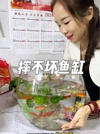 星优圆形鱼缸造景一体成型仿玻璃防摔耐摔不坏客厅小型桌面生态缸#轻松养鱼 #鱼缸里的大自然 #养鱼 #鱼缸#鱼缸造景