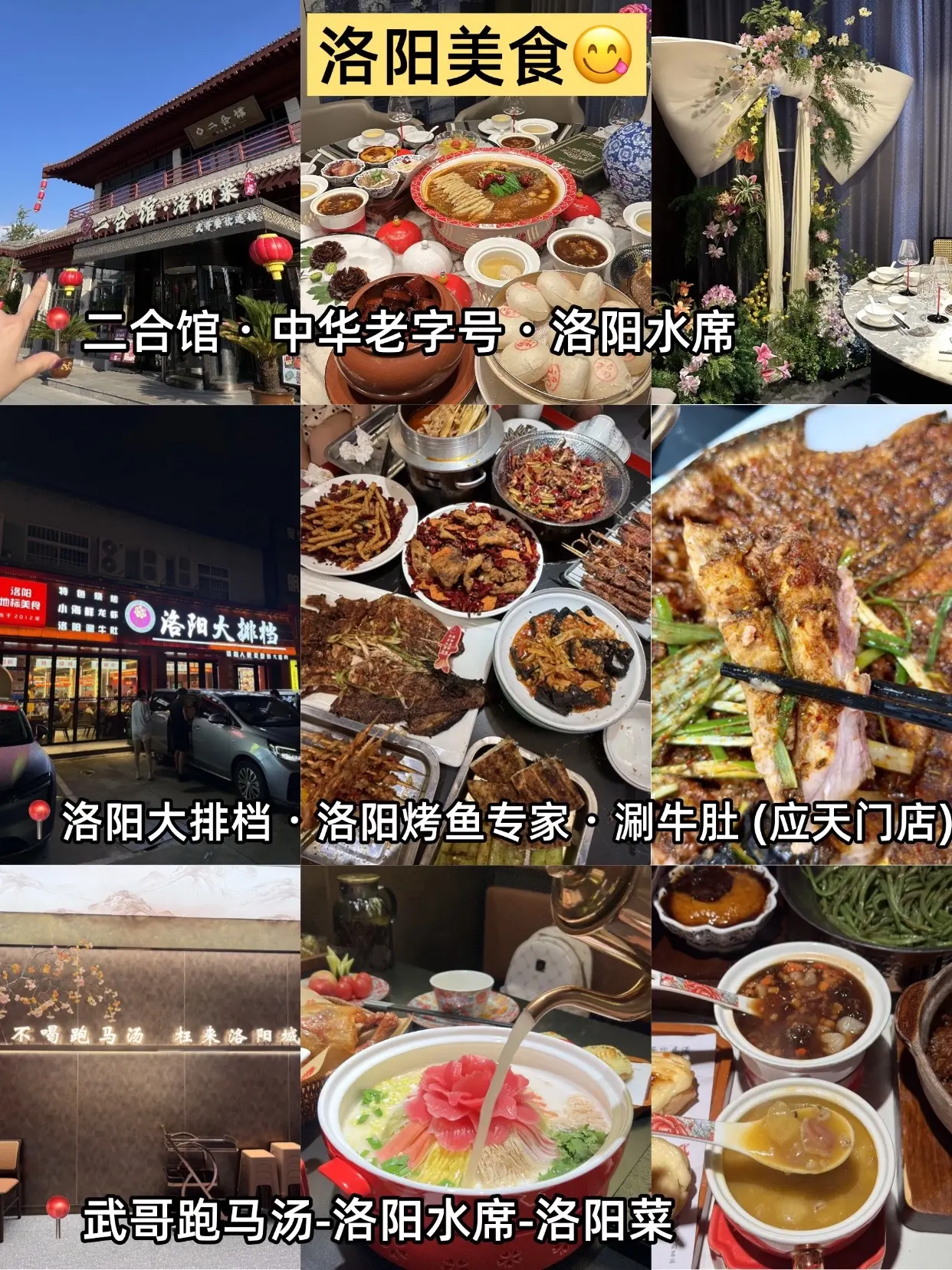 男朋友做的洛阳旅游攻略已经next le.#游玩攻略 #洛阳 - 抖音