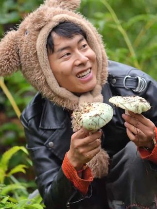 今早上去捡青头菌,今年的菌子也要没有了,又要等到明年了。#记录我的农村生活 #云南野生菌 #乡村守护人 #捡菌子的乐趣