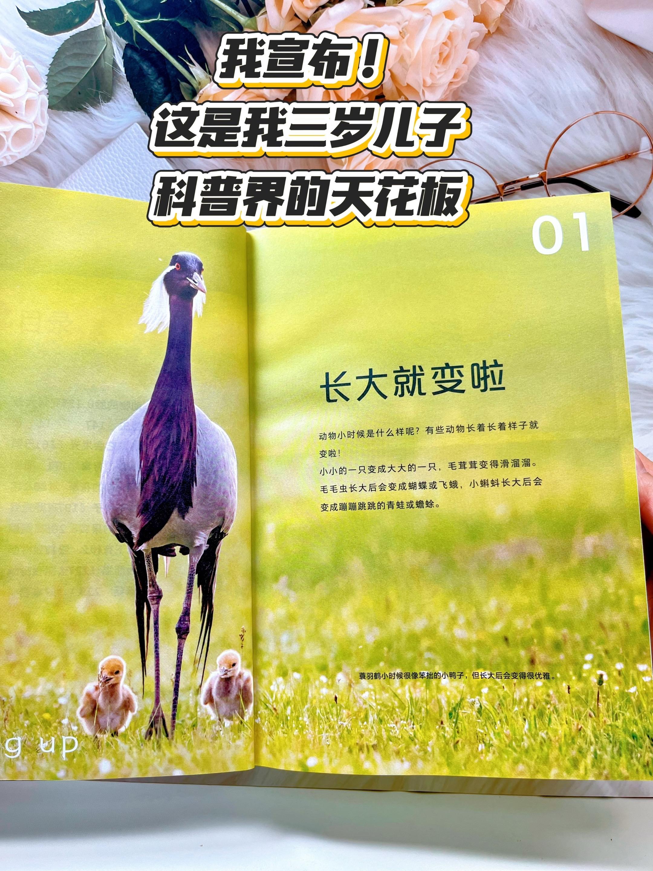哇!3岁就能看懂的科普读物! 高清大图实拍,视觉冲击力比纪录片! 真实还原大自然的每一个精彩瞬间! 被科普喂大的孩子,眼界、能力、思维真的不一样!#儿童绘本 #小自然 #科普百科书 #童书推荐