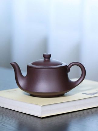 #茶壶茶具 #紫砂壶 #茶器之美 #以壶会友 #喝茶养生