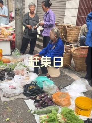 去不了诗和远方,就来乡镇集市走一走,感受不一样的烟火气息.最抚凡人心!#我的乡村生活 #现场实拍 #赶集 #记录真实生活 #农村大集人间烟火气
