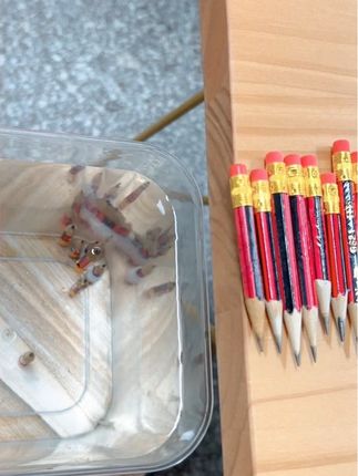 新升级的 好好用啊!写字握姿不对错过得再等一年#文具安利 #学习用品#文具推荐 #文具