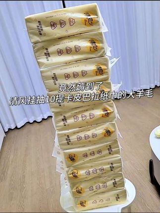 清风挂抽10提卡皮巴拉纸巾整箱悬挂式抽纸#清风挂抽 #卡皮巴拉纸巾 #挂式抽纸 #卫生纸 #纸巾