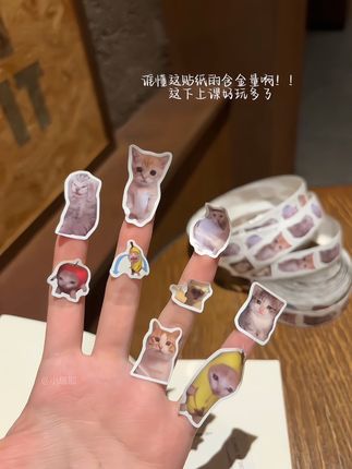 谁懂这贴纸的含金量啊 #贴纸#抽象#学生党平价安利 #趣味贴纸