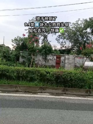 家人们,谁懂啊,等了好久的大公鸡鸡头皂终于有货了,顽固污渍轻松去除,爱穿白衣服的姐妹赶紧囤#大公鸡鸡头皂 #好物分享