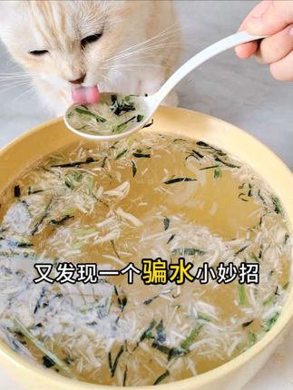 这个猫草蛋黄鸡肉松,平时用来拌粮拌水都很好,提高猫咪食欲,增加猫咪饮水量 #新手养猫 #猫咪尿闭 #猫咪喝水 #猫咪补水 #猫咪肉松