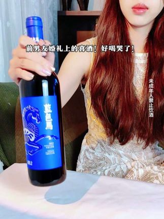 贺兰山东麓核心产区#葡萄酒 #红酒 #强烈推荐