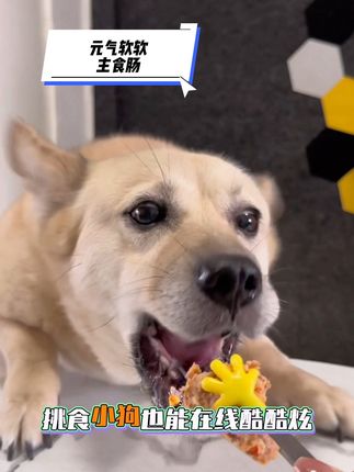 夏天挑食不爱吃饭的狗子可以试试,买3包送1包。#元气软软主食肠 #萌宠好物 #新手养狗