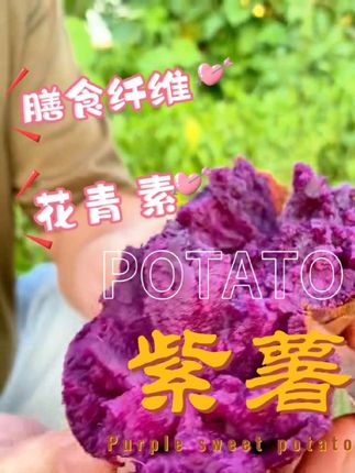 【送菌汤包】高山黑美人紫薯农家自种甜糯纤维粗粮代餐老少皆宜红薯#紫薯 #红薯 #代餐