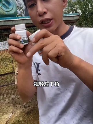 养狗大户的小妙招,感冒流鼻涕,呕吐倒吸气,喂狗一片轻松搞定 #养狗经验分享 #狗狗生病 #新手养狗 #狗感冒 #狗呕吐