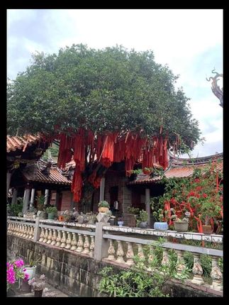 #张予曦毕雯珺真拍了红裙抱 #张予曦的定妆魔法 #深情眼 #毕雯珺 #张予曦毕雯珺