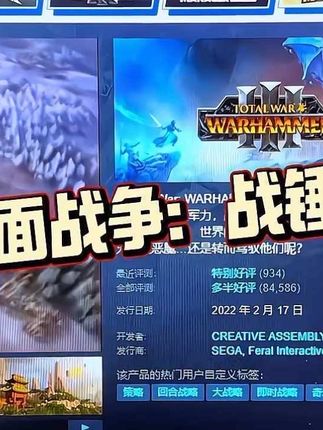 玩家在游戏中采取特定的策略和方法,以实现最终的胜利 #全面战争战锤3 #steam游戏 #steam喜加一 #steam热门游戏推荐 #steam史低