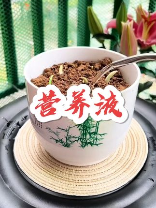 厂家搞活动啦个位数到手几大瓶的#养花万能营养液,家里的花儿用上它,枯萎的花枝变粗壮,花开满爆盆,养花家庭常备#duo➕小助手