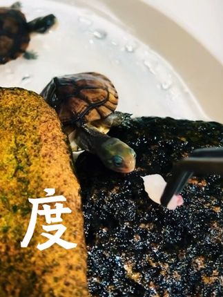 #传统文化 #古人的智慧 #古籍古书 #一本好书