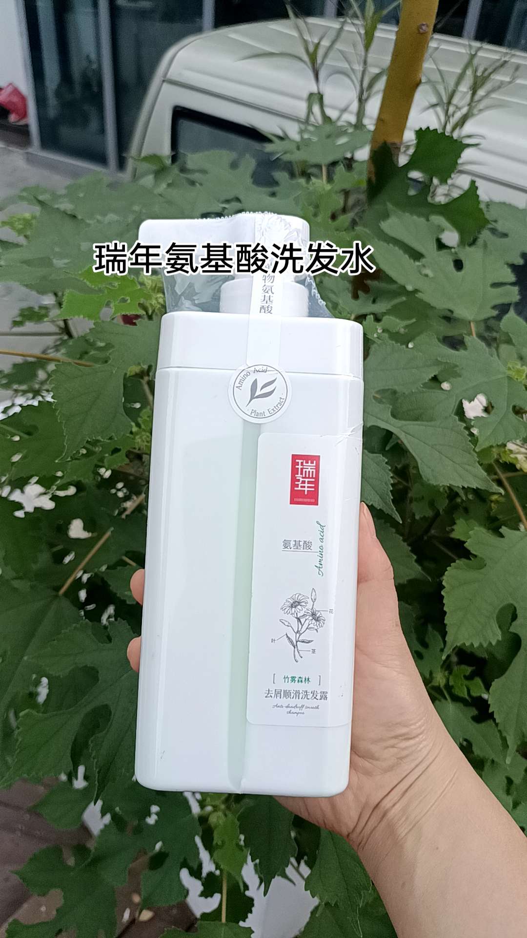 #抖音推广 #好物推荐🔥 #超便宜超划算 #瑞年氨基酸洗发水#清爽蓬松