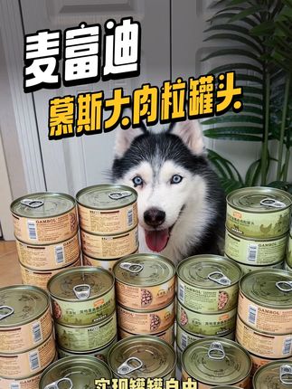 狗子挑食吃狗粮不香?那推荐试试#麦富迪 家的这款慕斯质地的牛肉鸡肉罐头!打开满满肉香和大肉粒,拌进狗粮里面狗子真的超爱!#家有馋狗 #宠物吃货 #宠物罐头 #科学养宠