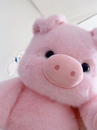 一定要珍惜还在的欲望,想要的东西,想去的地方,想爱的人,因为不知道哪一天就不想要了!#可爱到爆炸💥 #毛绒玩具 #这也太可爱了吧 #毛绒公仔 #心动的感觉