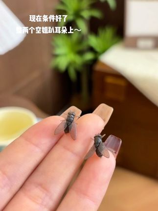 条件好了,整两个空姐趴耳朵上飞一会儿~#抽象 #玩个很新的东西 #耳钉 #小众设计感 #在抖音入手的好东西