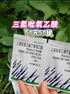 #三氯吡氧乙酸 #构树 #灌木 #络石藤 #好物推荐🔥