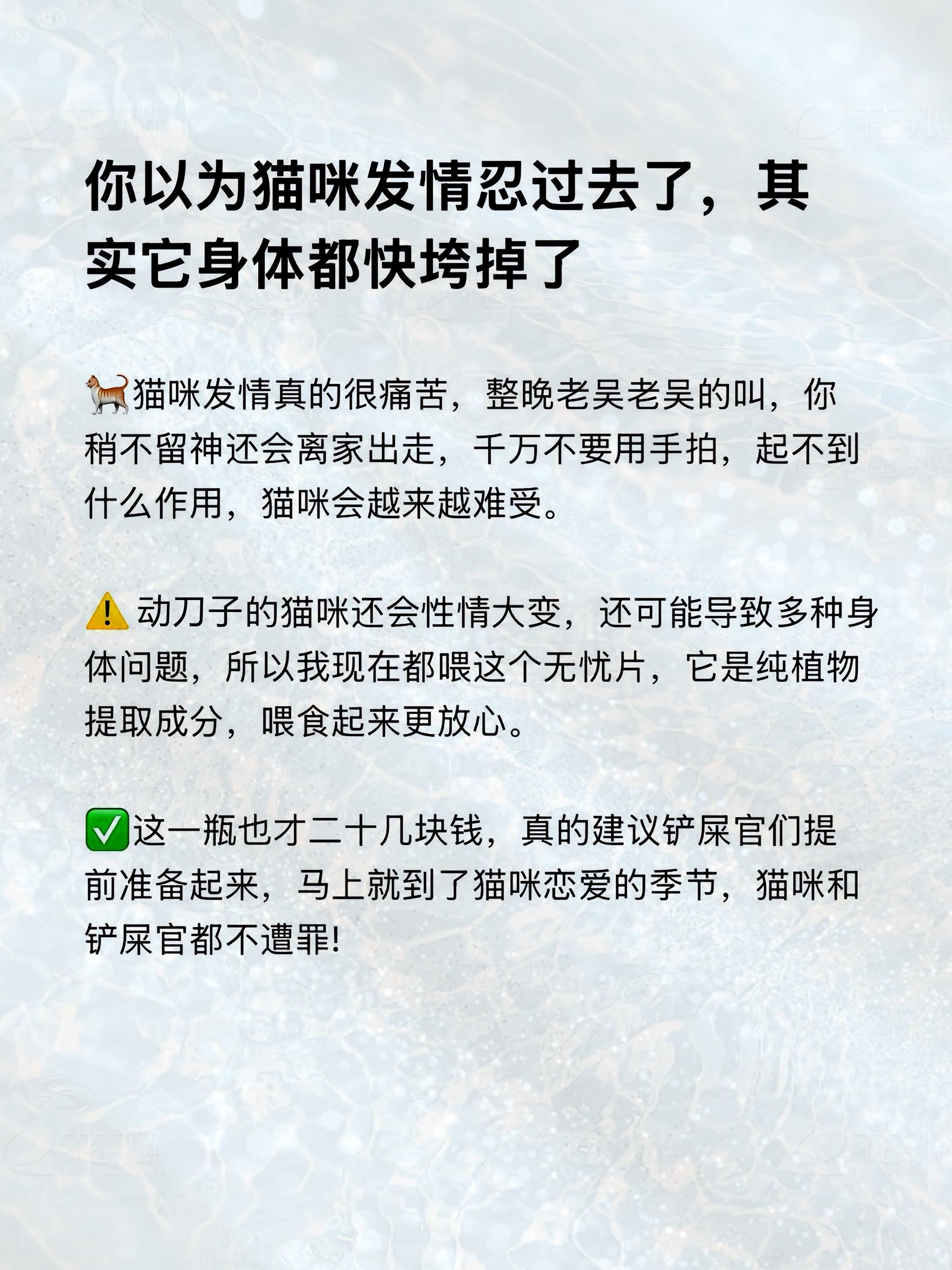 真正爱猫的人是不舍得带健康的猫咪去咔嚓的。#养猫经验分享#新手养猫#猫咪发情