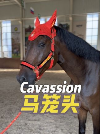 Cavassion 防护马笼头 洛奇马具8218099#推广马术运动 #马术俱乐部 #马场日常 #洛奇马具