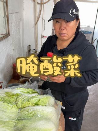 又到了东北一年一度腌酸菜的季节了,今年尝试新方法,不知道能不能成功#农村生活#农村美食#记录真实生活#腌酸菜