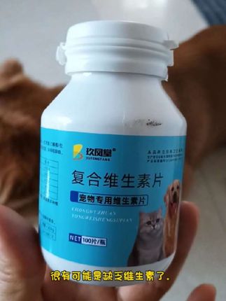 狗狗啃土吃石子,啃墙等异食癖,就给它吃这个复合维生素#宠物异食癖 #狗狗复合维生素 #宠物微量元素 #新手养狗必备
