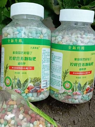 #绿植通用控施肥#花儿的营养