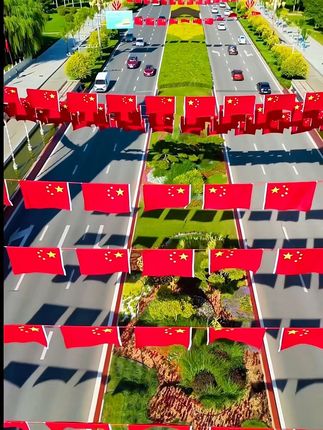 #国庆节红旗飘飘 #五星红旗迎风飘扬 #五星红旗🇨🇳 #祖国万岁