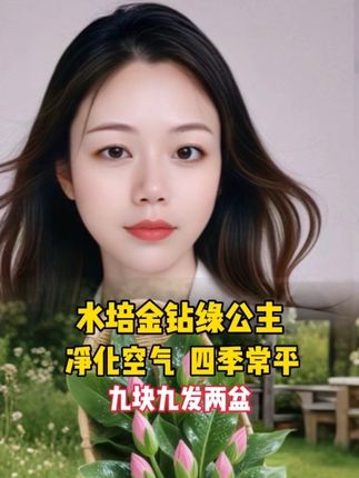 金钻好养,一年四季常,家里绿植客厅必须要有#创作灵感 #金钻绿公主 #࿆我的花花草草🌸🌸
