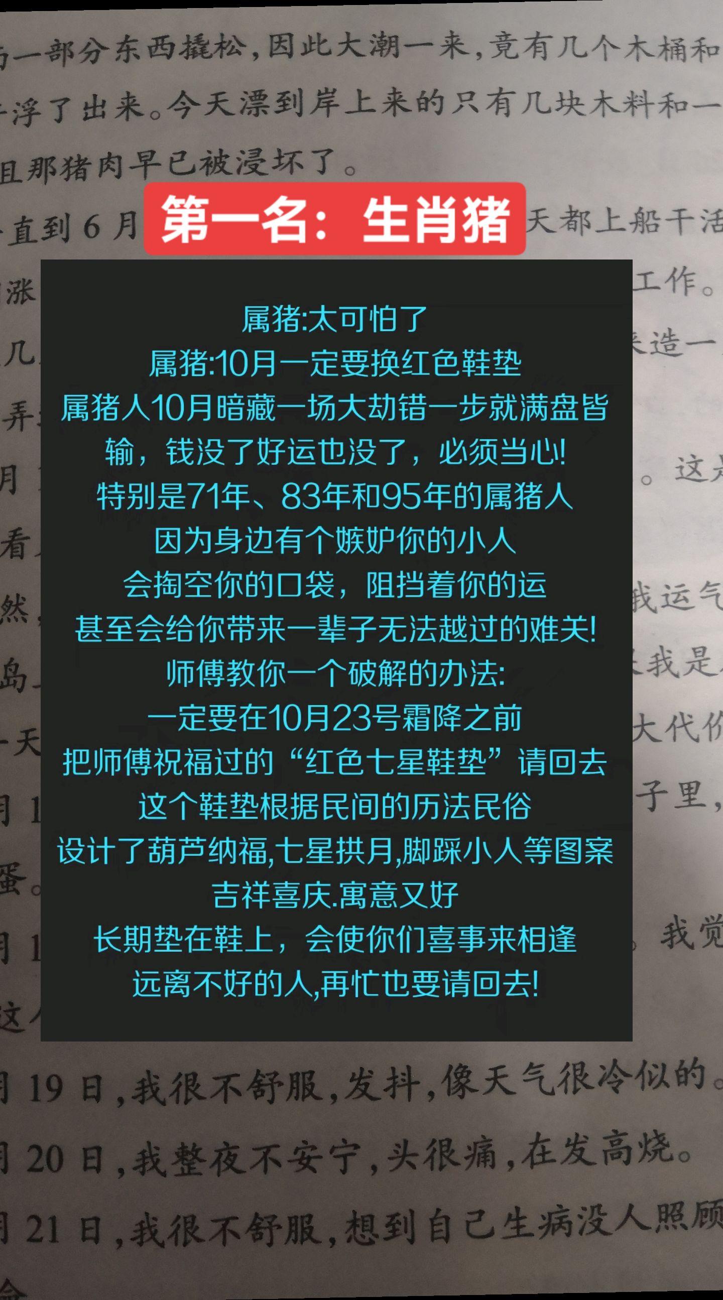 #亥猪 #猪 #生肖猪 #属猪的人
