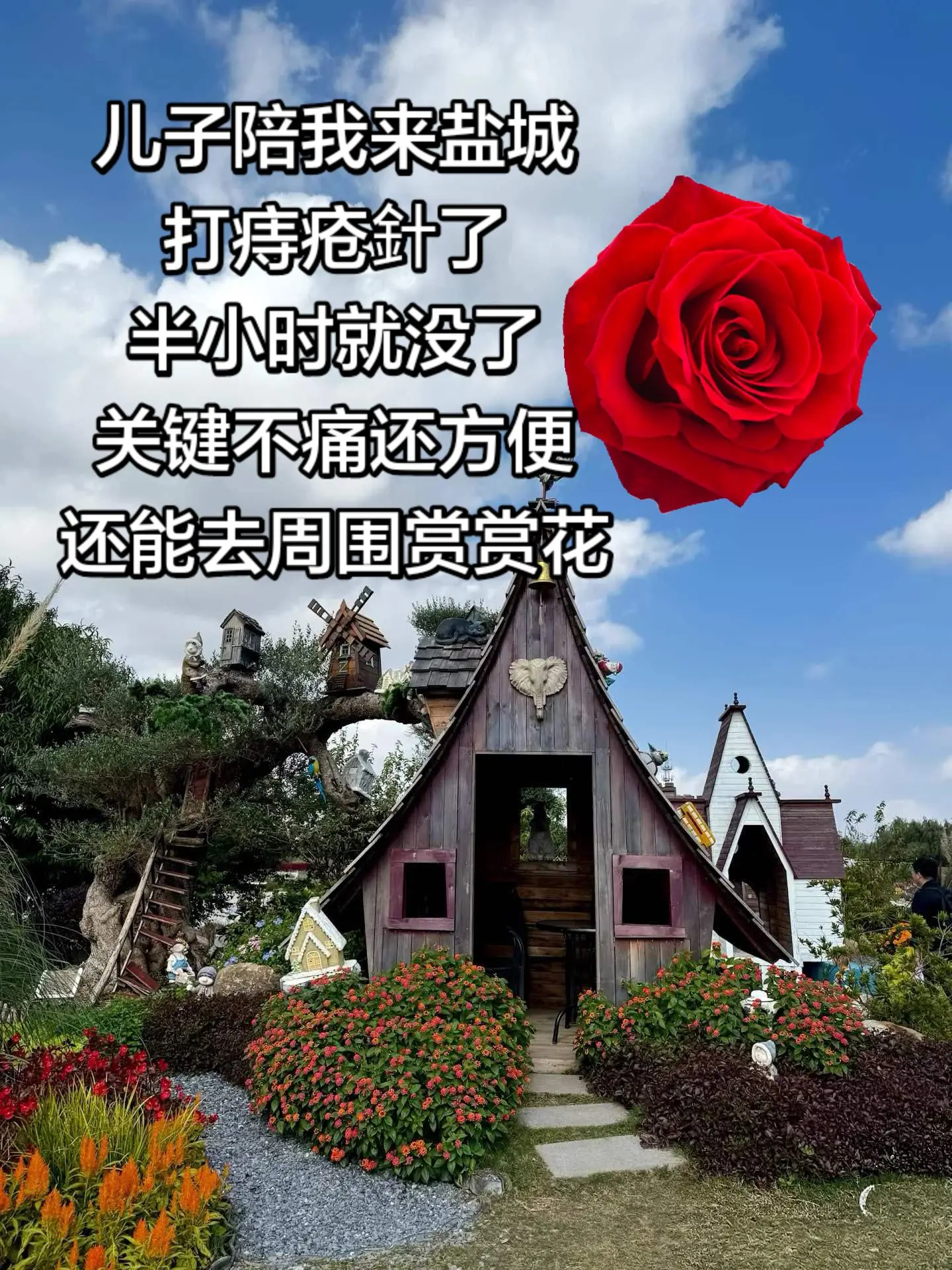 去盐城德馨医院的一天。#盐城德馨医院 #治愈系打卡地 #树 - 抖音