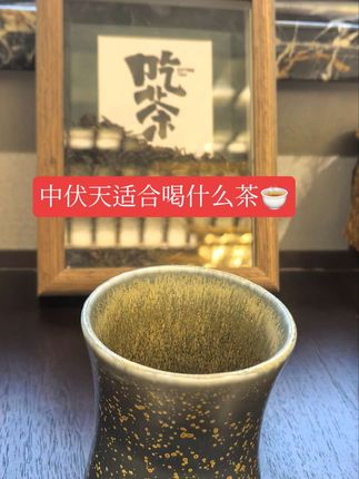 中伏天的我们喝哪些茶合适呢#原创视频 #日常vlog #随拍 #原创作品 #养生