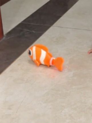 一条鱼搞定一个娃😄 #爬行练习#摇摆鱼#学爬行的小宝宝 #宝宝玩具#玩到停不下来