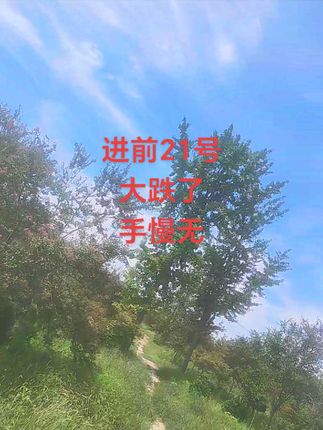 #优惠火爆进行中#手慢无 #方便快捷,省时省力#抖加小助手#抖加上热门