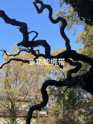 #多功能绑带拉紧器 #厂家直发品质保证 #视频同款#好物推荐
