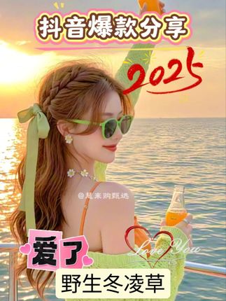 #冬凌草 野生正品新货#山香草 雪花草#冰凌草 干货