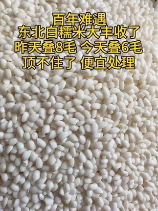 东北白糯米5斤包粽子八宝饭农家白江米#优质农产品 #糯米 #好吃不贵经济实惠