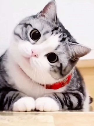 两位数你要不要?纯钛定制近视镜!#眼镜#配眼镜#近视镜#变色近视镜#配近视镜