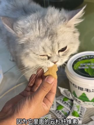 #云杉排毛冻干 #萌宠好物 #养猫新手 #家有萌宠