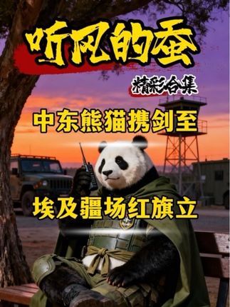中东熊猫携剑至,埃及疆场红旗立! #科普 #军事 #军迷发烧友