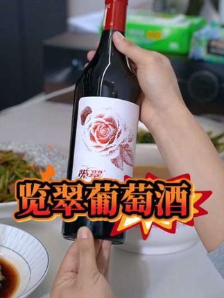 览翠【有机】珍藏2020红酒贺兰山东麓国产干红葡萄酒混酿酒庄酒#好酒推荐#贺兰山葡萄酒#好喝不贵#红酒 #好酒送到家 @DOU+上热门 @DOU+小助手