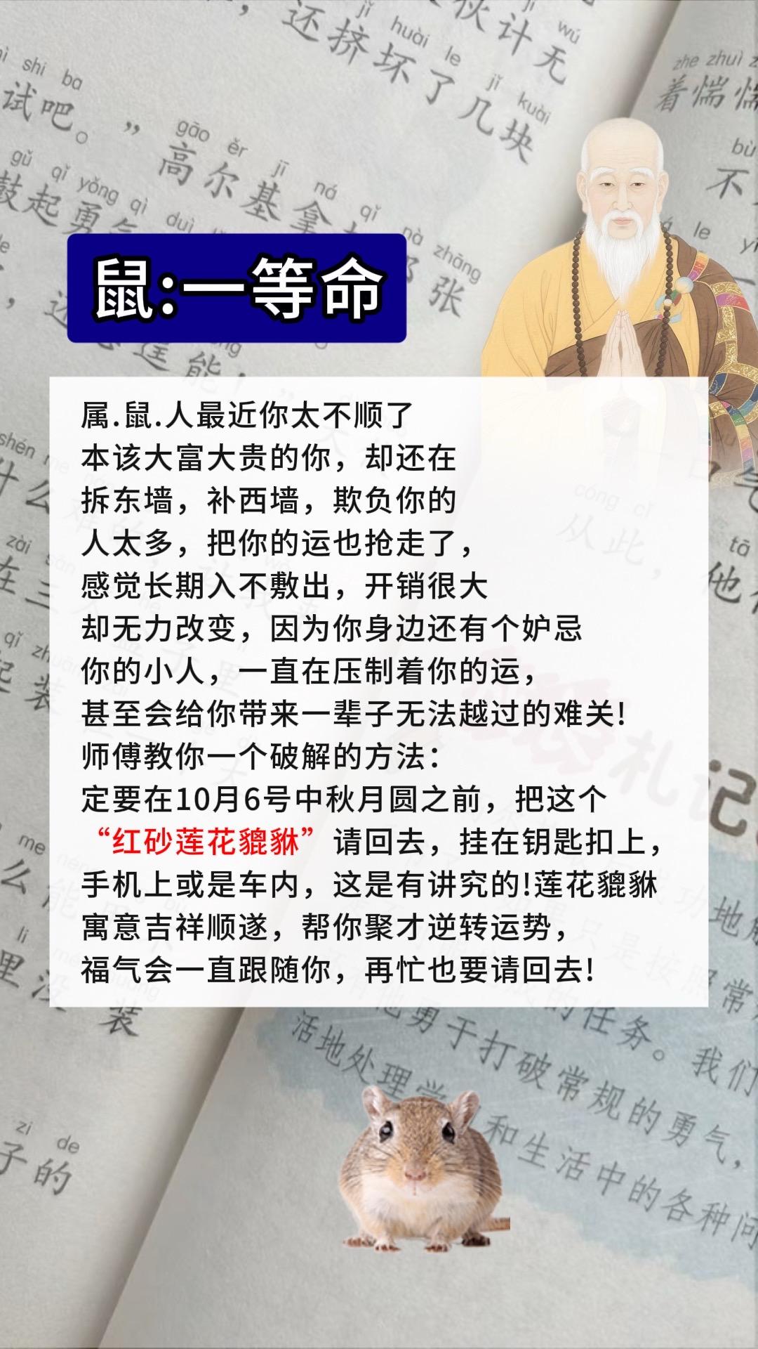 #生肖鼠#属鼠