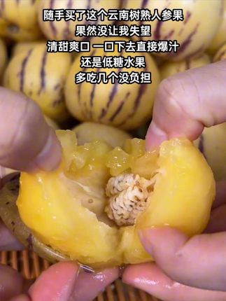 这个云南树熟人参果,清甜爽口,一口爆汁,超好吃!#树熟人参果 #人参果 #口感特别好 #快来一起尝个鲜 #优质农产品